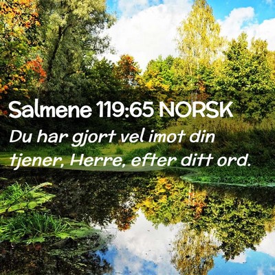 Picture 02 - Salmene 119:65 NORSK - Du har gjort vel imot din tjener, Herre, efter - Bible Verse Picture
