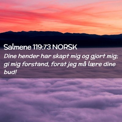 Picture 02 - Salmene 119:73 NORSK - Dine hender har skapt mig og gjort mig; gi mig - Bible Verse Picture