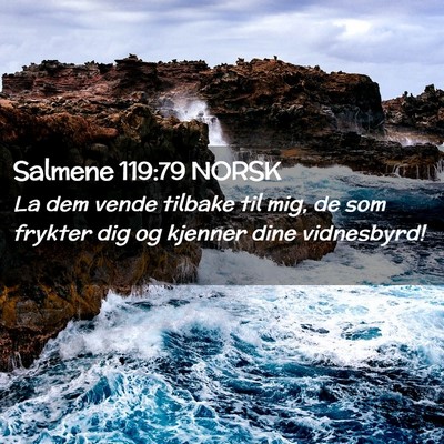 Picture 02 - Salmene 119:79 NORSK - La dem vende tilbake til mig, de som frykter dig - Bible Verse Picture