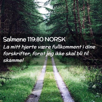 Picture 02 - Salmene 119:80 NORSK - La mitt hjerte være fullkomment i dine - Bible Verse Picture