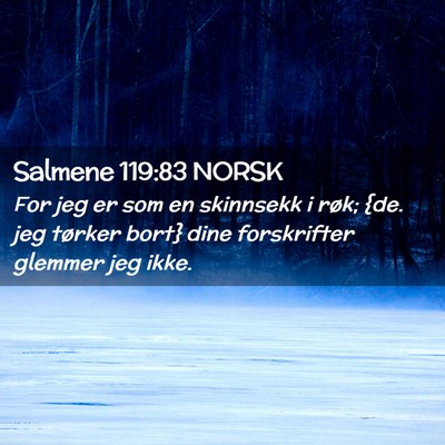 Picture 02 - Salmene 119:83 NORSK - For jeg er som en skinnsekk i røk; {de. jeg - Bible Verse Picture