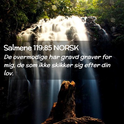 Picture 02 - Salmene 119:85 NORSK - De overmodige har gravd graver for mig, de som - Bible Verse Picture