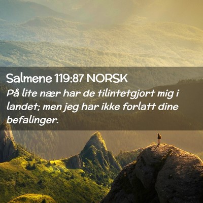 Picture 02 - Salmene 119:87 NORSK - På lite nær har de tilintetgjort mig i landet; - Bible Verse Picture