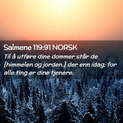 Picture 02 - Salmene 119:91 NORSK - Til å utføre dine dommer står de {himmelen og - Bible Verse Picture