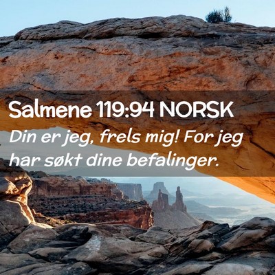 Picture 02 - Salmene 119:94 NORSK - Din er jeg, frels mig! For jeg har søkt dine - Bible Verse Picture