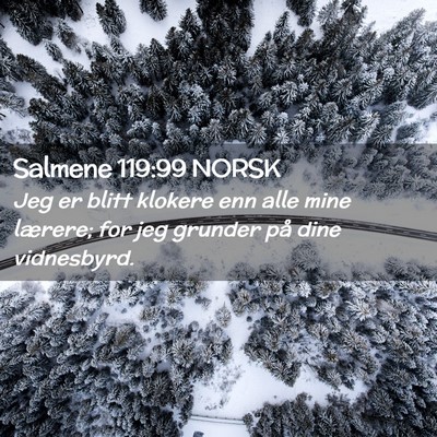 Picture 02 - Salmene 119:99 NORSK - Jeg er blitt klokere enn alle mine lærere; for - Bible Verse Picture