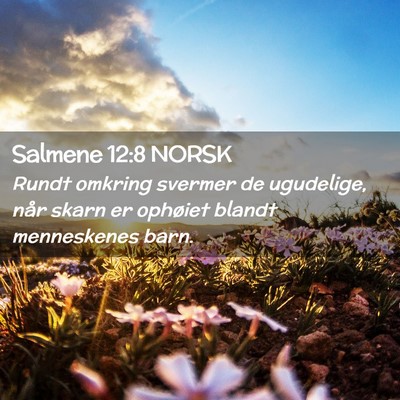 Picture 02 - Salmene 12:8 NORSK - Rundt omkring svermer de ugudelige, når skarn er - Bible Verse Picture