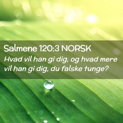 Picture 02 - Salmene 120:3 NORSK - Hvad vil han gi dig, og hvad mere vil han gi dig, - Bible Verse Picture