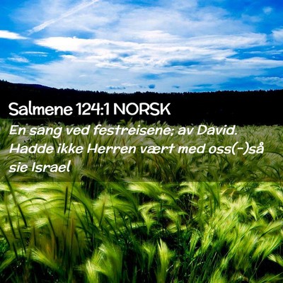 Picture 02 - Salmene 124:1 NORSK - En sang ved festreisene; av David. Hadde ikke - Bible Verse Picture