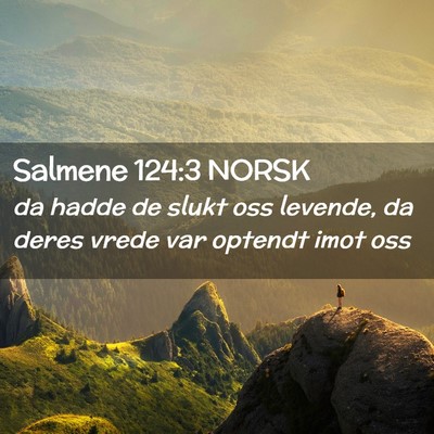 Picture 02 - Salmene 124:3 NORSK - da hadde de slukt oss levende, da deres vrede var - Bible Verse Picture