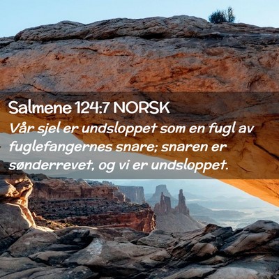 Picture 02 - Salmene 124:7 NORSK - Vår sjel er undsloppet som en fugl av - Bible Verse Picture