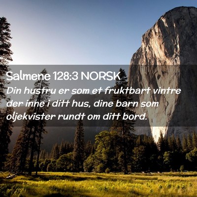 Picture 02 - Salmene 128:3 NORSK - Din hustru er som et fruktbart vintre der inne i - Bible Verse Picture