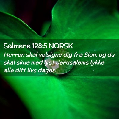 Picture 02 - Salmene 128:5 NORSK - Herren skal velsigne dig fra Sion, og du skal - Bible Verse Picture