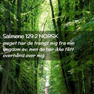 Picture 02 - Salmene 129:2 NORSK - meget har de trengt mig fra min ungdom av; men de - Bible Verse Picture