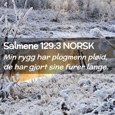 Picture 02 - Salmene 129:3 NORSK - Min rygg har plogmenn pløid, de har gjort sine - Bible Verse Picture