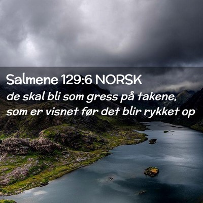 Picture 02 - Salmene 129:6 NORSK - de skal bli som gress på takene, som er visnet - Bible Verse Picture