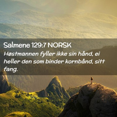 Picture 02 - Salmene 129:7 NORSK - Høstmannen fyller ikke sin hånd, ei heller den - Bible Verse Picture