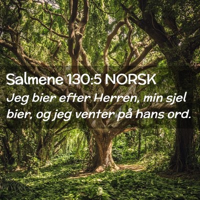 Picture 02 - Salmene 130:5 NORSK - Jeg bier efter Herren, min sjel bier, og jeg - Bible Verse Picture