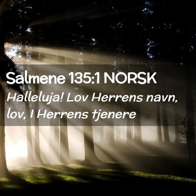 Picture 02 - Salmene 135:1 NORSK - Halleluja! Lov Herrens navn, lov, I Herrens - Bible Verse Picture