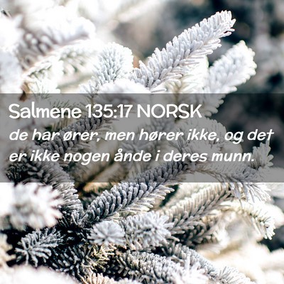 Picture 02 - Salmene 135:17 NORSK - de har ører, men hører ikke, og det er ikke - Bible Verse Picture