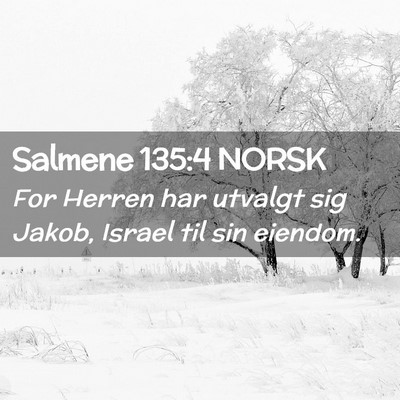 Picture 02 - Salmene 135:4 NORSK - For Herren har utvalgt sig Jakob, Israel til sin - Bible Verse Picture