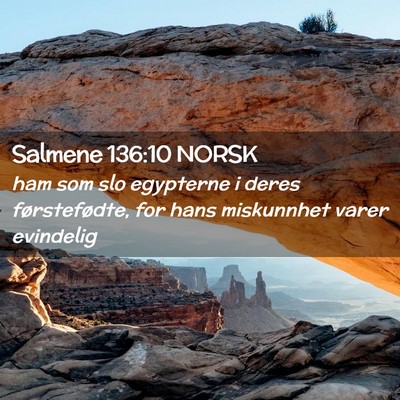 Picture 02 - Salmene 136:10 NORSK - ham som slo egypterne i deres førstefødte, for - Bible Verse Picture