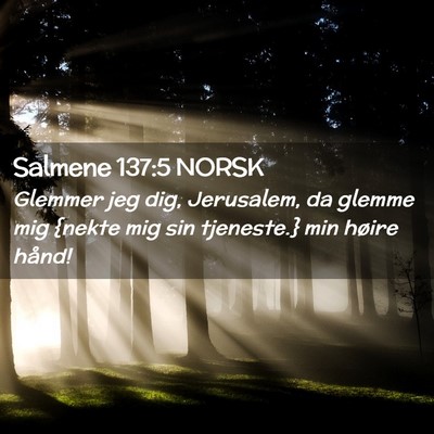 Picture 02 - Salmene 137:5 NORSK - Glemmer jeg dig, Jerusalem, da glemme mig {nekte - Bible Verse Picture