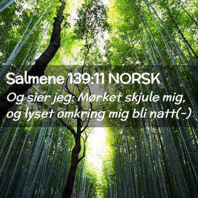 Picture 02 - Salmene 139:11 NORSK - Og sier jeg: Mørket skjule mig, og lyset omkring - Bible Verse Picture
