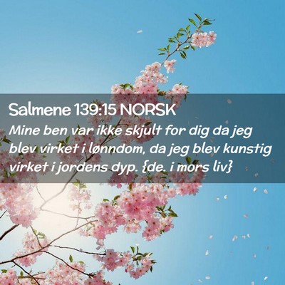 Picture 02 - Salmene 139:15 NORSK - Mine ben var ikke skjult for dig da jeg blev - Bible Verse Picture
