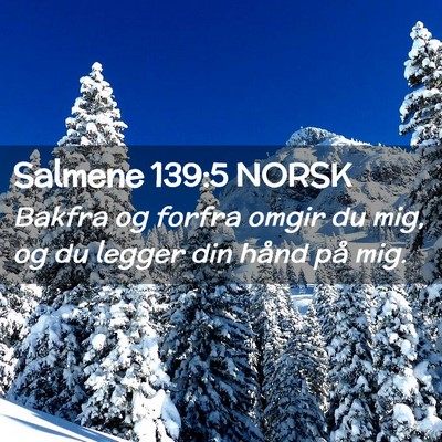 Picture 02 - Salmene 139:5 NORSK - Bakfra og forfra omgir du mig, og du legger din - Bible Verse Picture