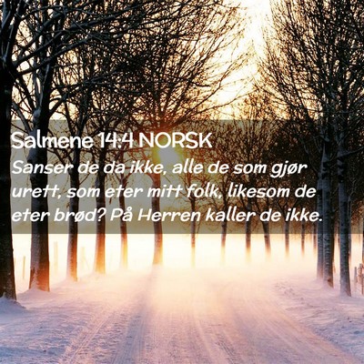 Picture 02 - Salmene 14:4 NORSK - Sanser de da ikke, alle de som gjør urett, som - Bible Verse Picture