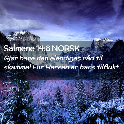 Picture 02 - Salmene 14:6 NORSK - Gjør bare den elendiges råd til skamme! For - Bible Verse Picture