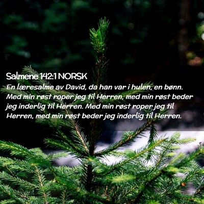 Picture 02 - Salmene 142:1 NORSK - En læresalme av David, da han var i hulen, en - Bible Verse Picture