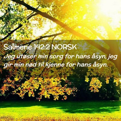 Picture 02 - Salmene 142:2 NORSK - Jeg utøser min sorg for hans åsyn, jeg gir min - Bible Verse Picture