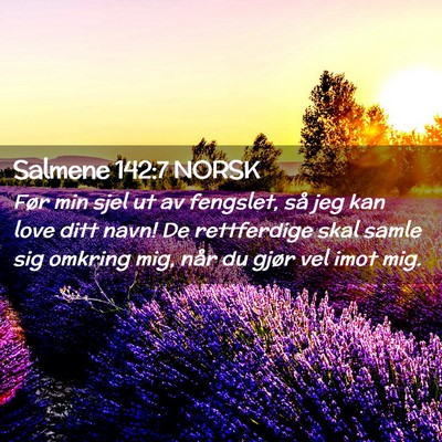 Picture 02 - Salmene 142:7 NORSK - Før min sjel ut av fengslet, så jeg kan love - Bible Verse Picture