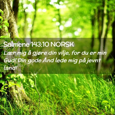 Picture 02 - Salmene 143:10 NORSK - Lær mig å gjøre din vilje, for du er min Gud! - Bible Verse Picture