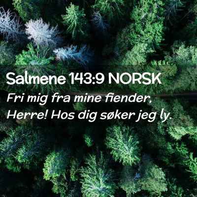 Picture 02 - Salmene 143:9 NORSK - Fri mig fra mine fiender, Herre! Hos dig søker - Bible Verse Picture
