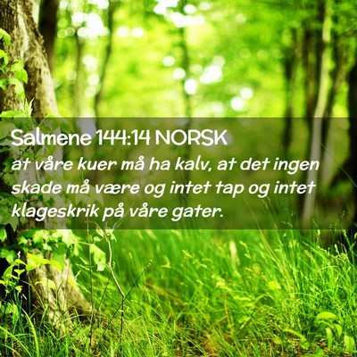 Picture 02 - Salmene 144:14 NORSK - at våre kuer må ha kalv, at det ingen skade må - Bible Verse Picture