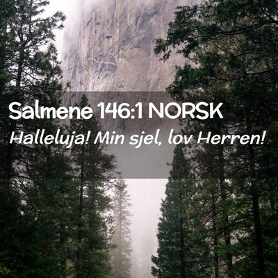 Picture 02 - Salmene 146:1 NORSK - Halleluja! Min sjel, lov - Bible Verse Picture