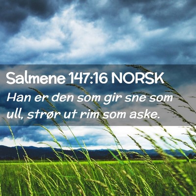 Picture 02 - Salmene 147:16 NORSK - Han er den som gir sne som ull, strør ut rim som - Bible Verse Picture