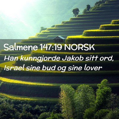 Picture 02 - Salmene 147:19 NORSK - Han kunngjorde Jakob sitt ord, Israel sine bud og - Bible Verse Picture