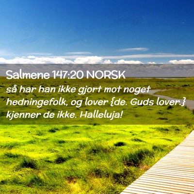 Picture 02 - Salmene 147:20 NORSK - så har han ikke gjort mot noget hedningefolk, og - Bible Verse Picture