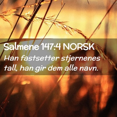 Picture 02 - Salmene 147:4 NORSK - Han fastsetter stjernenes tall, han gir dem alle - Bible Verse Picture