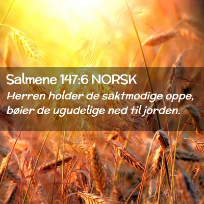 Picture 02 - Salmene 147:6 NORSK - Herren holder de saktmodige oppe, bøier de - Bible Verse Picture