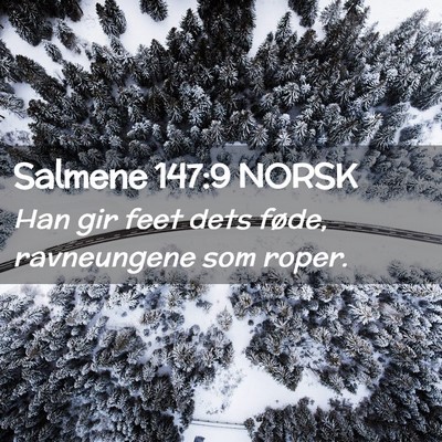 Picture 02 - Salmene 147:9 NORSK - Han gir feet dets føde, ravneungene som - Bible Verse Picture