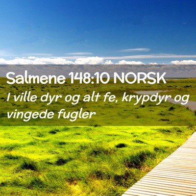 Picture 02 - Salmene 148:10 NORSK - I ville dyr og alt fe, krypdyr og vingede - Bible Verse Picture