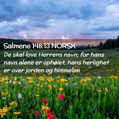 Picture 02 - Salmene 148:13 NORSK - De skal love Herrens navn; for hans navn alene er - Bible Verse Picture