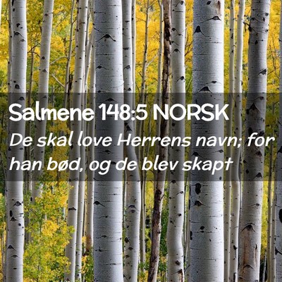 Picture 02 - Salmene 148:5 NORSK - De skal love Herrens navn; for han bød, og de - Bible Verse Picture
