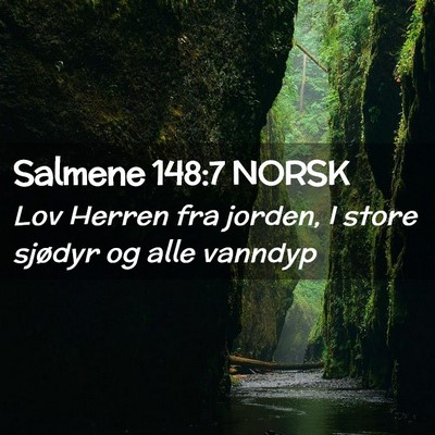 Picture 02 - Salmene 148:7 NORSK - Lov Herren fra jorden, I store sjødyr og alle - Bible Verse Picture