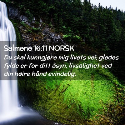 Picture 02 - Salmene 16:11 NORSK - Du skal kunngjøre mig livets vei; gledes fylde - Bible Verse Picture